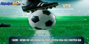 1gom - Kênh Dữ Liệu Bóng Đá Trực Tuyến Của Các Chuyên Gia