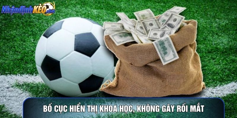 Bố cục hiển thị khoa học, không gây rối mắt