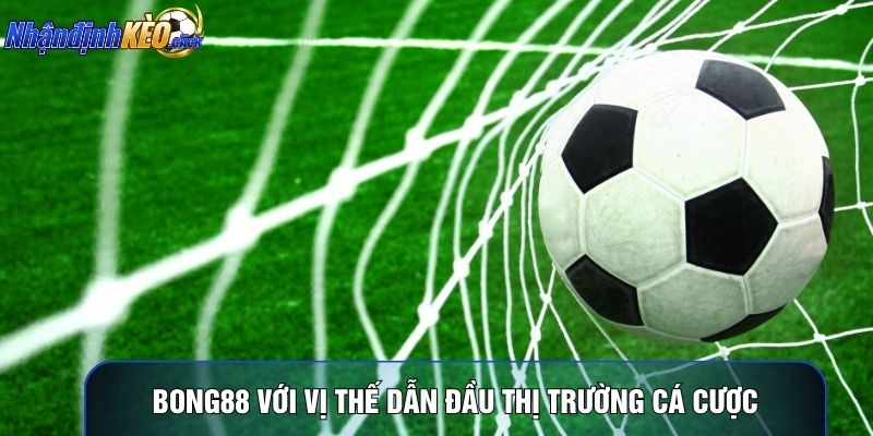 Bong88 với vị thế dẫn đầu thị trường cá cược