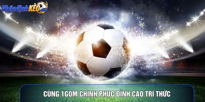 Cùng 1gom chinh phục đỉnh cao tri thức