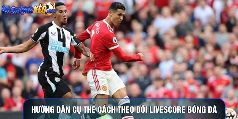Hướng dẫn cụ thể cách theo dõi livescore bóng đá