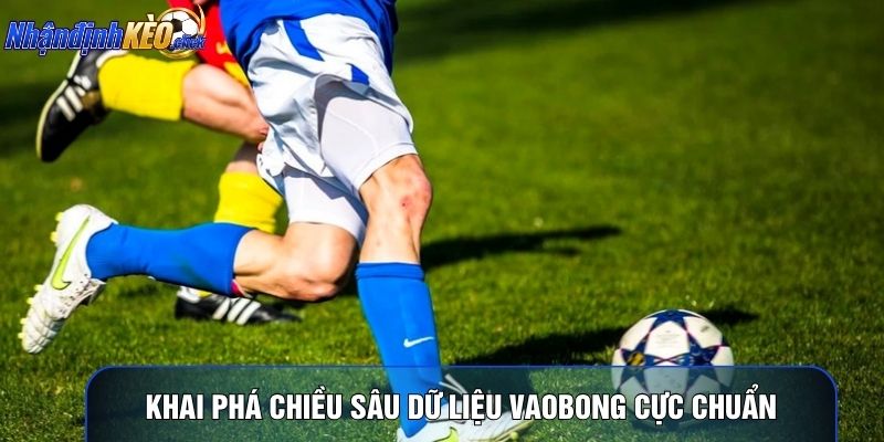 Khai phá chiều sâu dữ liệu Vaobong cực chuẩn