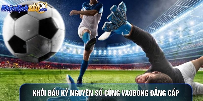 Khởi đầu kỷ nguyên số cùng Vaobong đẳng cấp