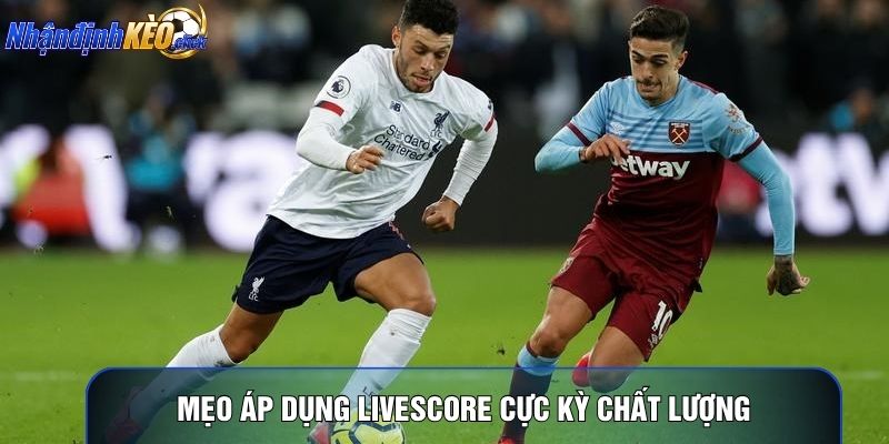 Mẹo áp dụng livescore cực kỳ chất lượng