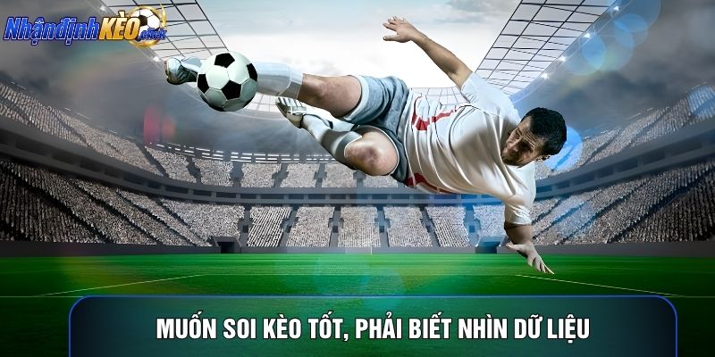 Muốn soi kèo tốt, phải biết nhìn dữ liệu