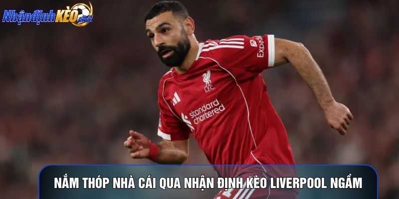 Nắm thóp nhà cái qua nhận định kèo Liverpool ngầm