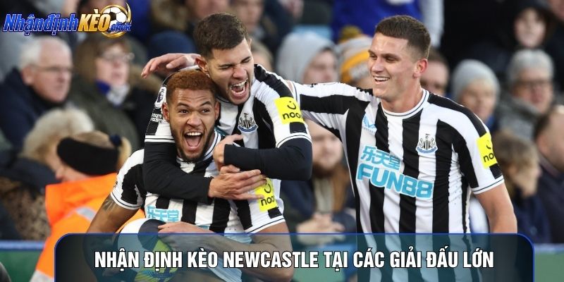 Nhận định kèo Newcastle tại các giải đấu lớn