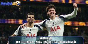 Nhận Định Kèo Tottenham - Nhận Định Kèo Gà Trống Mới Nhất