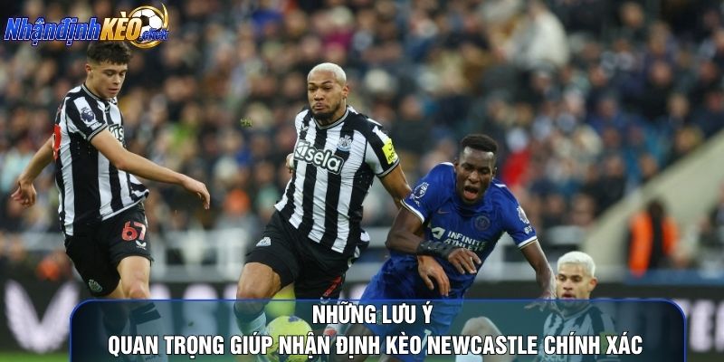 Những lưu ý quan trọng giúp nhận định kèo Newcastle chính xác