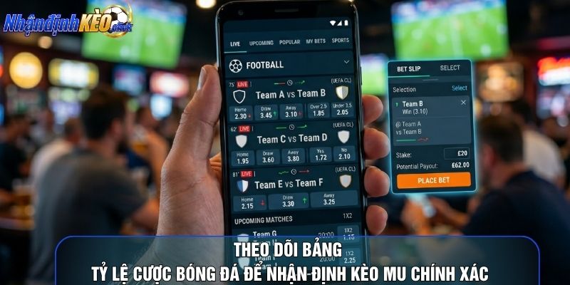 Theo dõi bảng tỷ lệ cược bóng đá để nhận định kèo mu chính xác